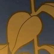 かもの画像