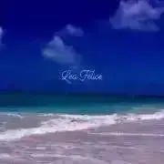 Lea feliceの画像