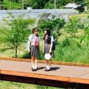 はーの画像