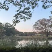 iichiの画像