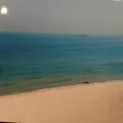 Mayの画像