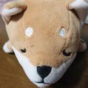 かけちゃんママの画像