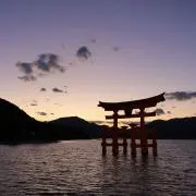 くーの画像