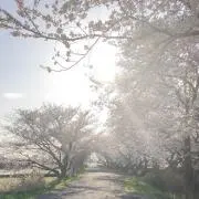 kakakakaの画像