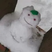 ももの画像