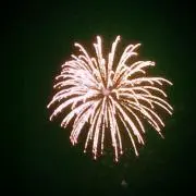 nakamraの画像