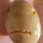 ☆楽一☆