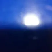 ワサビの画像