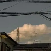komaの画像