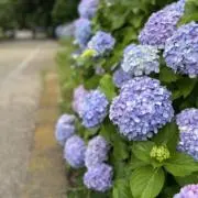 m＊mm ｜24時間以内発送☆彡の画像