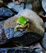ぼぅです