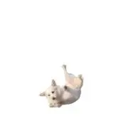 甘党