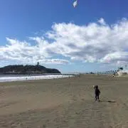 みぃ☆プロフ必読お願いします☆の画像