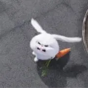 いらの画像