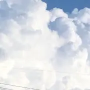 プーチン大統領の画像