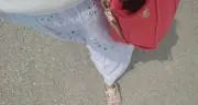 あんなの画像
