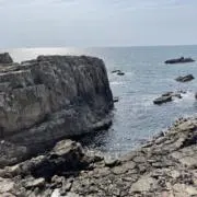 ハルハル/ まとめ買い大歓迎の画像