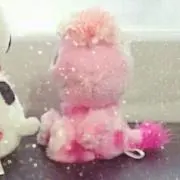 ひまわり