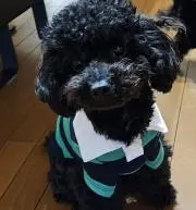 桃ママ