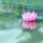 まり