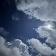 ぺんぎん