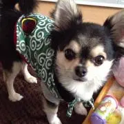 なな