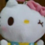 カリィヌ　プロフ必読お願いします