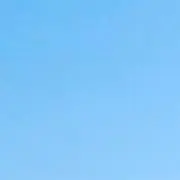 どらの画像