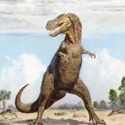 ガオガオの画像