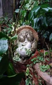 やーの画像