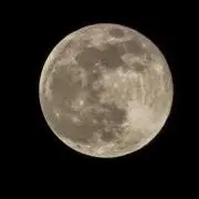 みーの画像