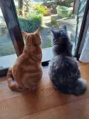 じゅんじゅんの画像