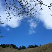 kys☆の画像