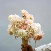 AESOPの画像