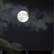 薫❂の画像