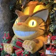 chachaの画像