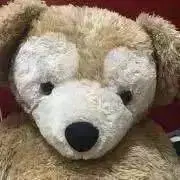 ナナの画像