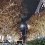Ryota