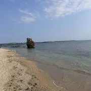 ゆきぽの画像