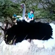 ベッキーの画像