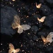 Mikmikの画像