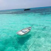 りぃの画像