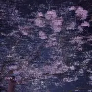 sの画像