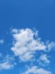 Mana*の画像