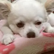 ゆーママプロフィール必読まとめ買い大歓迎の画像