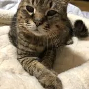 まりんの画像