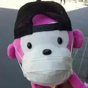 ごまたまご