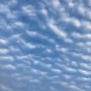 彩りの画像