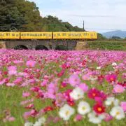 るるらいか