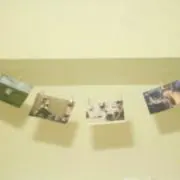 のす